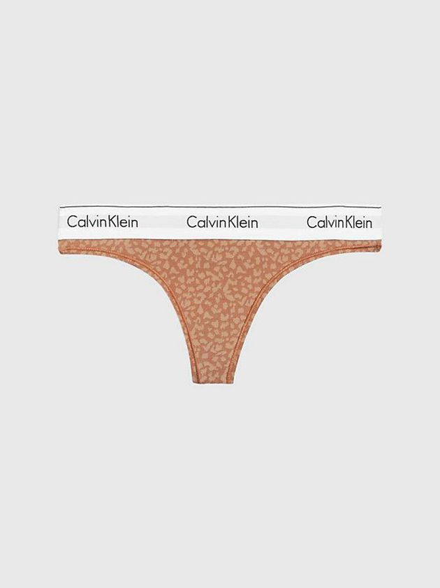 Calvin Klein USA Modern Cotton Womens Thong Brown 7580341-QR